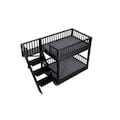 New Age Pet Aspen Bunk Beds for Dogs, w/Removable Cus EHBB402