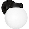 Progress Lighting Utility Lantern 1-Light Globe, 100 W, Black P5604-31