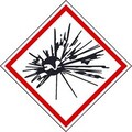 Nmc GHS PICTOGRAM LABELS, 2X2, GHS2022ALV2 | Zoro