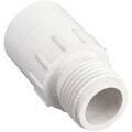 Apollo PVC ADAPTER 3/4 IN IRRIGATION MALE AISLMHT34 | Zoro