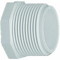 Westlake Pipe & Fittings PLUG 2IN PVC MIP F01130C | Zoro