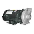 Dayton Stainless Steel 3 HP Centrifugal Pump 208-230/460V 2ZWX2