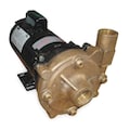 Dayton Bronze 3/4 HP Centrifugal Pump 115/230V 2ZWZ8