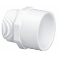Zoro Select PVC Male Adapter, MNPT x Socket, 1-1/4 in Pipe Size 436012