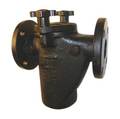 Mueller Steam Specialty 2", Flanged, Cast iron, Basket Strainer, 200 psi @ 150 Degrees F 2 125F