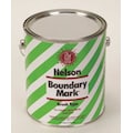 Nelson Paint Boundary Marking Paint, 1 gal., Green, Water -Based 29 19 GL GREEN