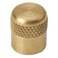 Mueller 1/4" SAE Cap, Brass, 700 psi A 16447