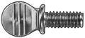 Zoro Select Thumb Screw, 1/4"-20 Thread Size, Spade, Plain 18-8 Stainless Steel, 19/32 in Head Ht, 3/4 in Lg TSIX0250075S-005P