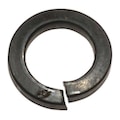 Dayton Lock Washer 71291546G