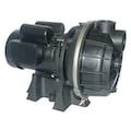 Dayton Centrifugal Pump, 3/4 hp, 120/208 to 240V AC, 1 Phase 5RWP3