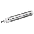 Speedaire Air Cylinder, 2 in Bore, 4 in Stroke, Round Body Double Acting 5TRD6