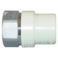 Zoro Select CPVC Transition Female Adapter, CTS, Schedule SDR-11, 3/4" Pipe Size, FNPT x CTS Hub 4135-007SS