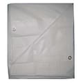 Zoro Select Tarp, 20 x 20 ft, 15 mil, Vinyl, Standard Duty, White 5WTW9