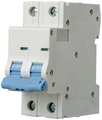 Dayton IEC Supplementary Protector, 6 A, 480V AC, 2 Pole, DIN Rail Mounting Style, NDB2-63 B6/2 Series 5ZUX3