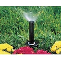 Rain Bird Spray Head for Shrubs, Plastic, 6 In. H 1804F-25