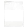 Zoro Select 9" x 12" Reclosable Poly Bags, 2.75 mil, Clear, PK 250 55NK51