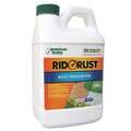 Pro Chemicals Rust Preventer 2X, 1/2 gal. RR1-1-CS