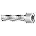 Zoro Select #10-24 Socket Head Cap Screw, Plain 18-8 Stainless Steel, 1/2 in Length, 5 PK 1GB27