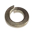 Zoro Select Split Lock Washer, For Screw Size 1/4 in 18-8 Stainless Steel, Plain Finish, 100 PK 1NY12