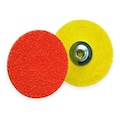 Norton Abrasives Qk Change Disc, CerAlO, 1-1/2in, 60G, PK100 66261162311