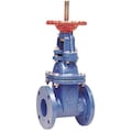 Watts Gate Valve, Class 250, 3 In. OSY-RW-Gate 3 | Zoro