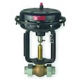 Spence Pneumatic Globe Control Valve, 1-1/2 in. K1TG811-60RH