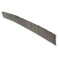 Tanis Strip Brush, 72 In L, Overall Trim 1 In MB704072