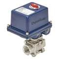 Dynaquip Controls 3/8" FNPT Stainless Steel Electronic Ball Valve 2-Way E3S22AJE23H