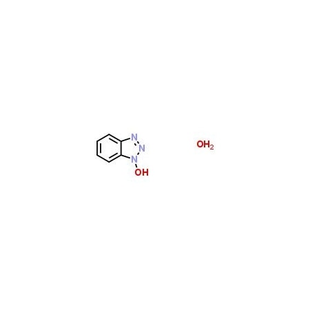 Ak Scientific HOBT hydrate wetted with not less than 20 wt. % water (100g), CAS 123333-53-9 A889-100g