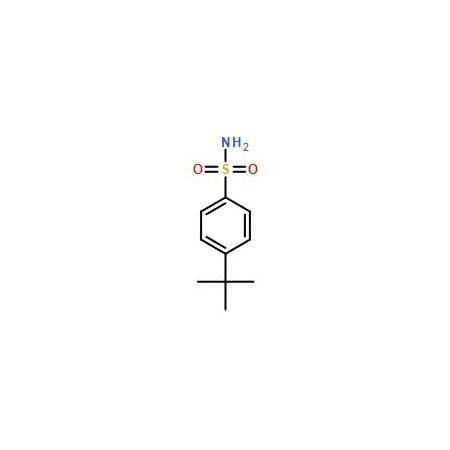Ak Scientific 4-tert-Butylbenzenesulphonamide (5g), CAS 6292-59-7 W7489-5g