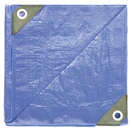Dize Blue Poly Tarp - 25 x 40 ft., Model No. PT2540 117694