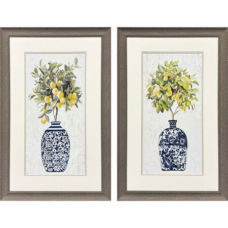 Set Of Two Lemon Tree Pot Brown Framed Wall Art, 2PK