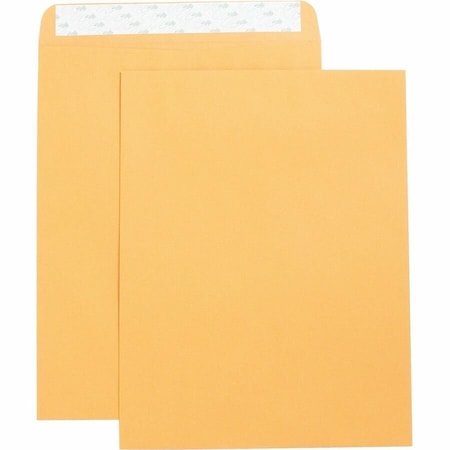 Business Source Filing Envelope, Brown, Kraft, PK2 BSN42121