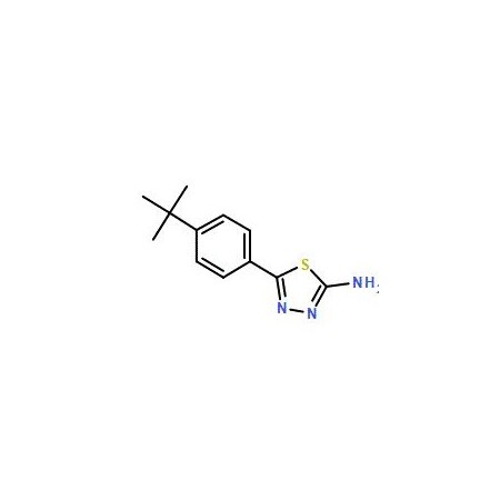 Ak Scientific 2-Amino-5-(4-tert-butylphenyl)-1, 3, 4-thiadiazole (1g), CAS 100987-04-0 7304AC-1g