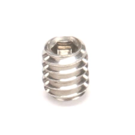 Lincoln Industrial SCREW SKSSS 1/4-20X5/16 370116