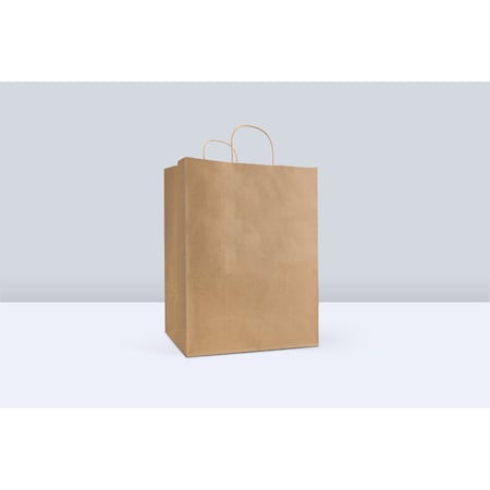 Reddi-2-Go Reddi-2-Go Twist Handle Paper Bag 12" x 9" x 15.75" , Kraft , 65# KRFTW12916