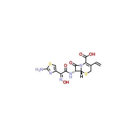 Ak Scientific Cefdinir (1g), CAS 91832-40-5 K673-1g