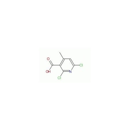 Ak Scientific 2, 6-Dichloro-4-methyl-3-pyridinecarboxylic acid (25g), CAS 62774-90-7 W7477-25g