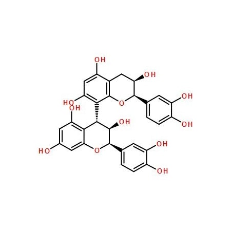 Ak Scientific Procyanidin B2 (5mg), CAS 29106-49-8 X1212-5mg