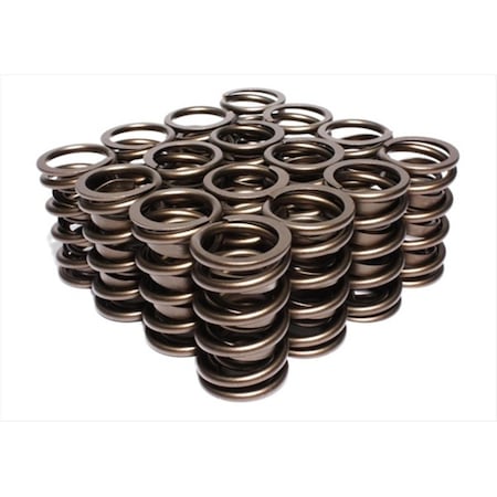 Protectionpro 99516 Dual Valve Springs PR359955