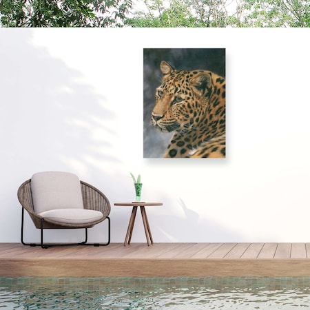 Trademark Fine Art Outdoor Canvas Art David Stribbling Leopard Portrait 2 Wall Art for Patios, or Gardens GRL01556-OC3547WR
