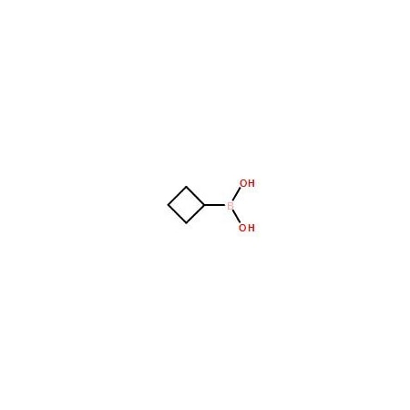 Ak Scientific Cyclobutylboronic acid (25g), CAS 849052-26-2 X2316-25g