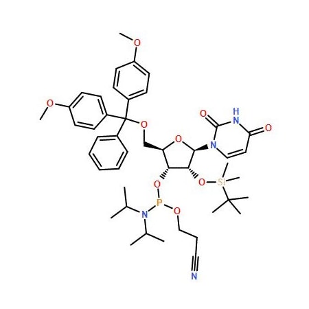 Ak Scientific rU Phosphoramidite (25g), CAS 118362-03-1 2979AA-25g