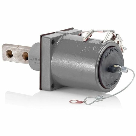 Leviton Plugs and Receptacles 49FR2-XGY