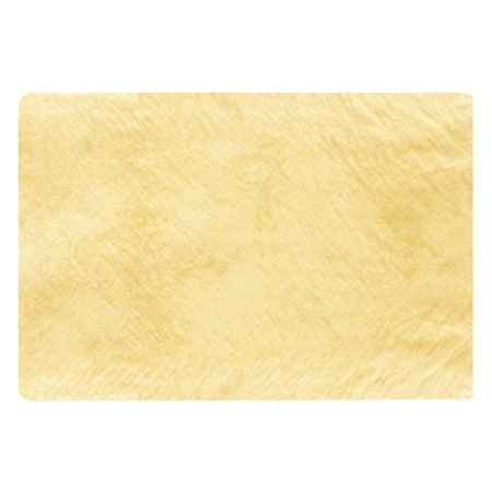 S.M. Arnold SPEEDY DRIER Drying Cloth, 3.06 sq-ft WSY3-1-T