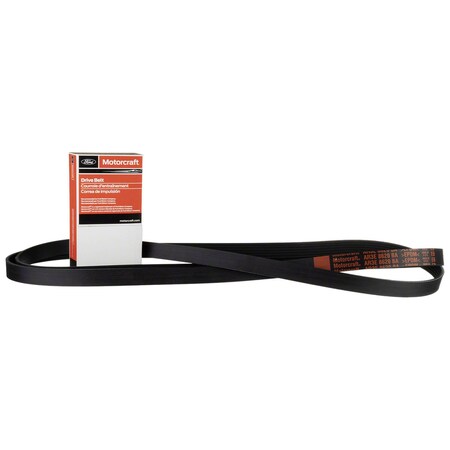Motorcraft Serpentine Belt,  JK61025B