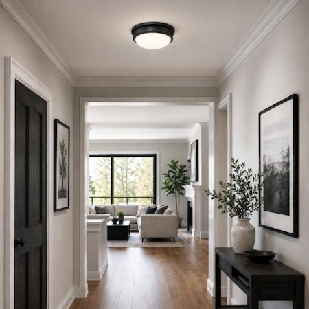 Westinghouse Two-Light Indoor Flush-Mnt Ceiling Fxtre Meadowbrook Mtt Blk Frstd Gls 6324100