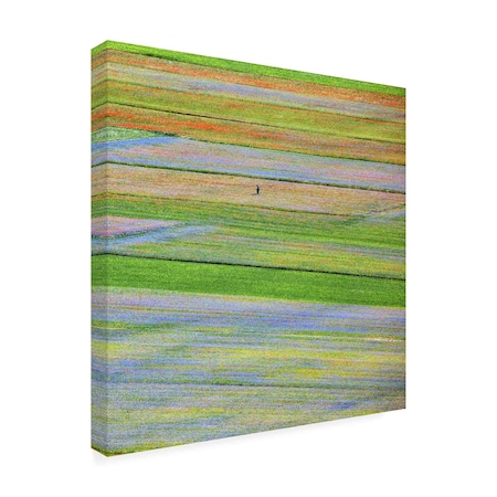 Trademark Fine Art Outdoor Canvas Art - Massimo Della Latta 'Castelluccio 5' Wall Art for Patios, or Gardens 1X31353-OC3535WR