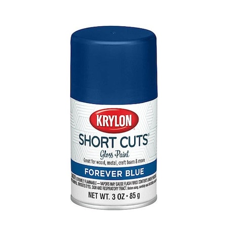 Krylon Spray Paints - Craft & Hobby Spray Paint KSCS073