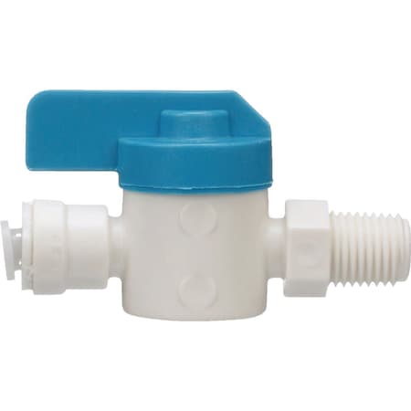 Watts Aqualock 1/4'' x 1/4'' MNPT Straight Push-to-Connect Plastic Valve PL-3012